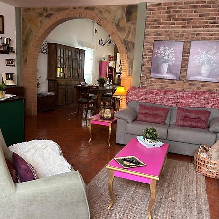 Loft Rural Apartment Tegueste Ngoại thất bức ảnh