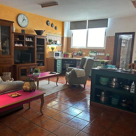 Loft Rural Apartment Tegueste Ngoại thất bức ảnh