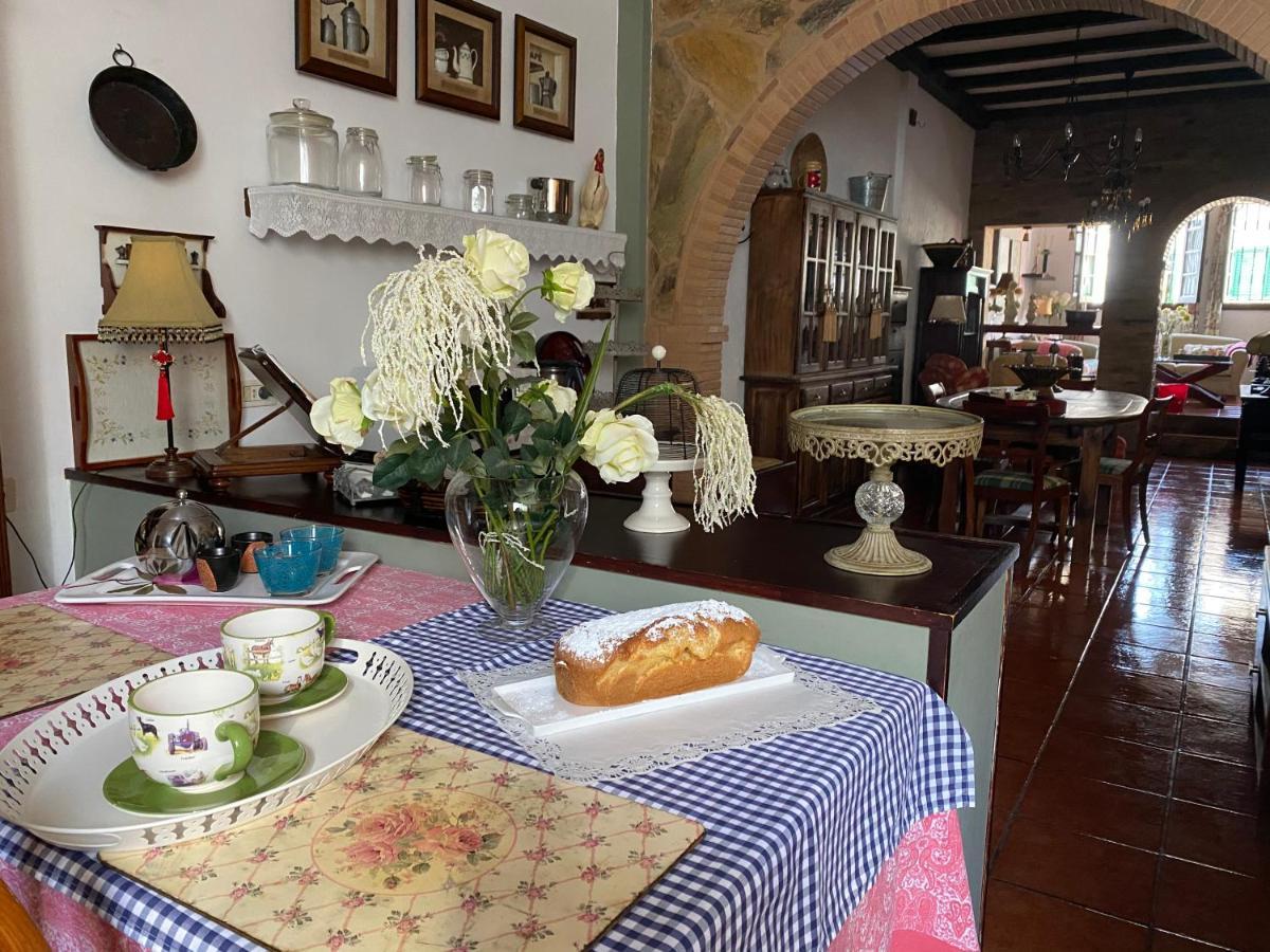 Loft Rural Apartment Tegueste Ngoại thất bức ảnh