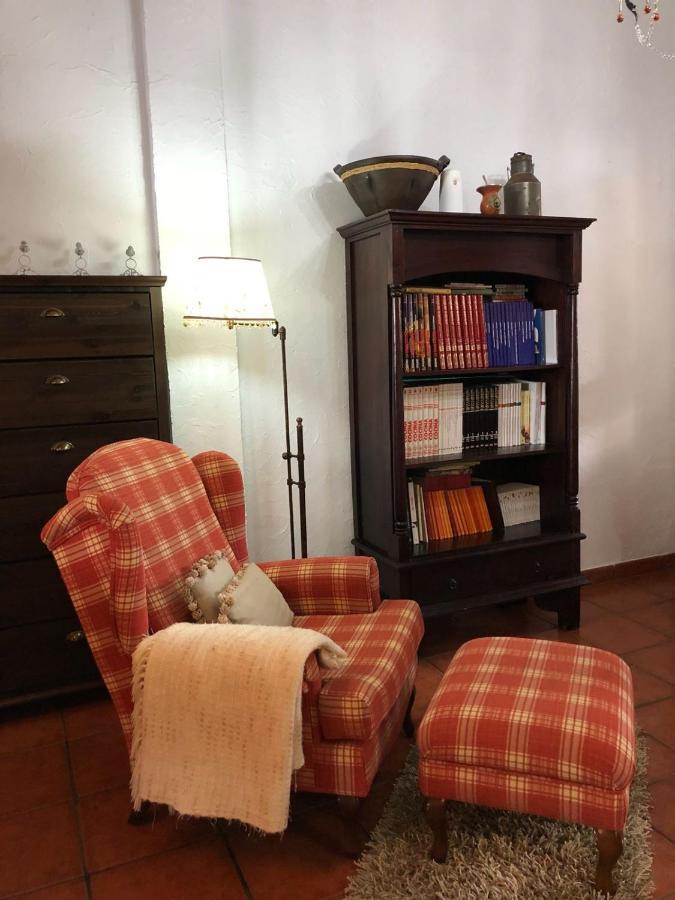 Loft Rural Apartment Tegueste Ngoại thất bức ảnh